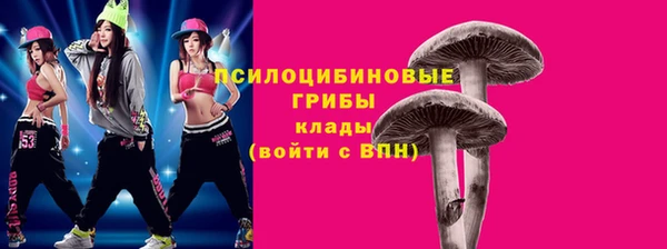 стаф Абаза