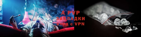 сатива Абинск