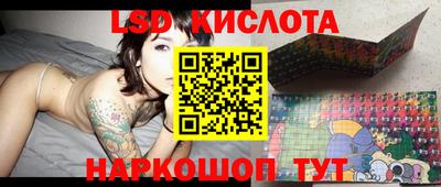 мдпв Гатчина