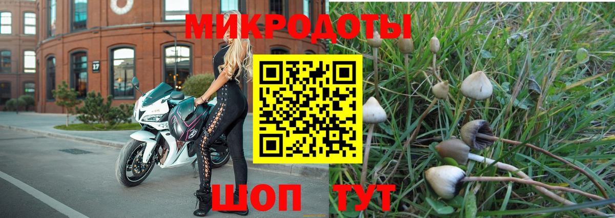 Псилоцибиновые грибы Magic Shrooms Краснодар