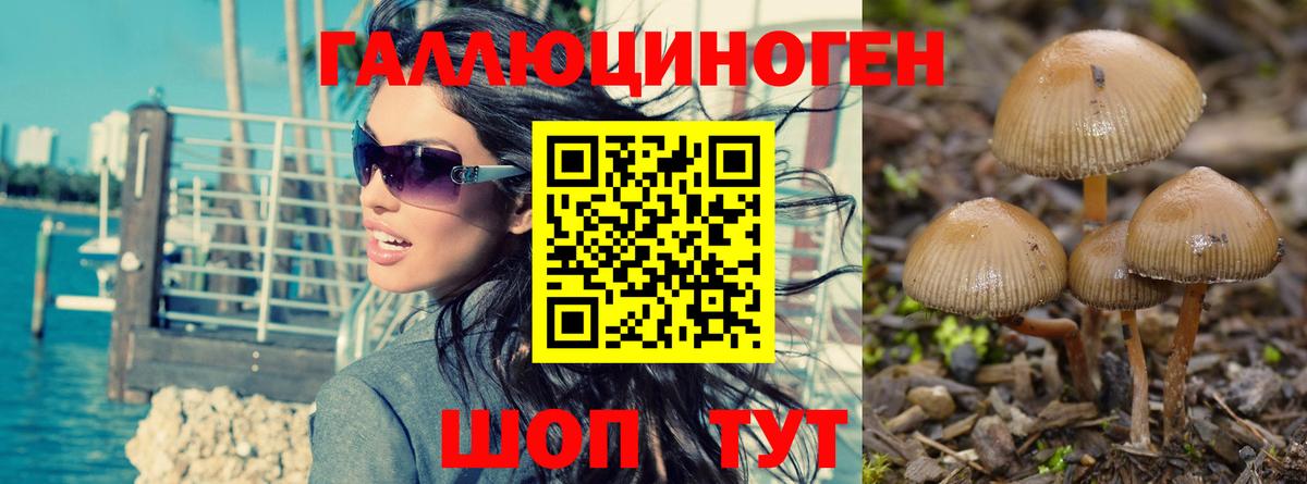 Галлюциногенные грибы MAGIC MUSHROOMS Краснодар